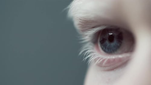 Extreme Close Up of a Single Eye