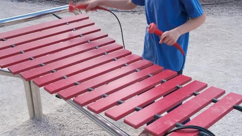 Playing Xylophone Instruments in Park