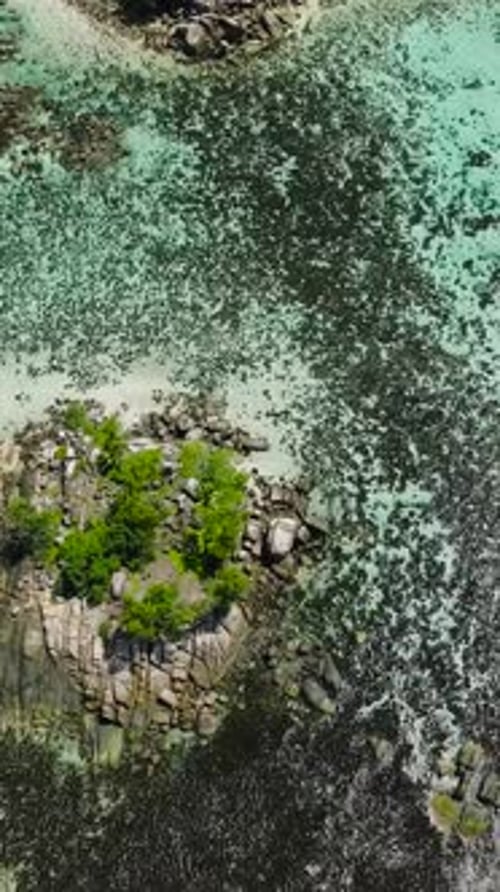Seascape with Tropical Beach Seychelles Mahe Island