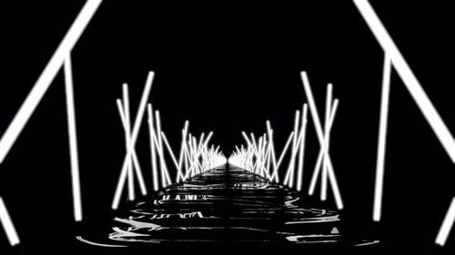 Moving 3d Corridor with Neon Lines in Dark