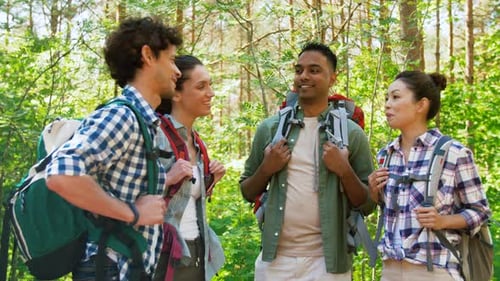 Friends Hiking Together in a Lush Green Forest