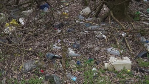 Plastic Waste Pollution in Forest Undergrowth – Environmental Damage Scene
