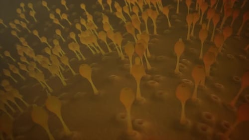 Fluid Microscopic Biological Forms Abstract Background