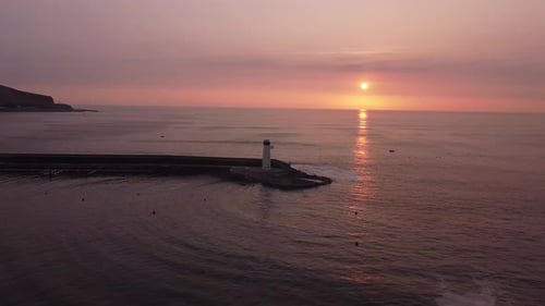 whirl aerial drone view of the birds flying in the sea in the sunset.