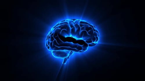 Cérebro brilhante