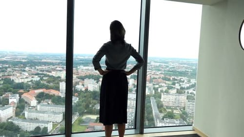 Successful Businesswoman Admire View Form Window in Office, Super 240