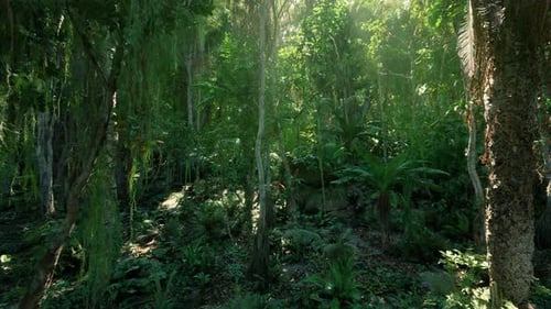 Lush Green Jungle Forest with Sunlight Rays Filtering Through Trees
