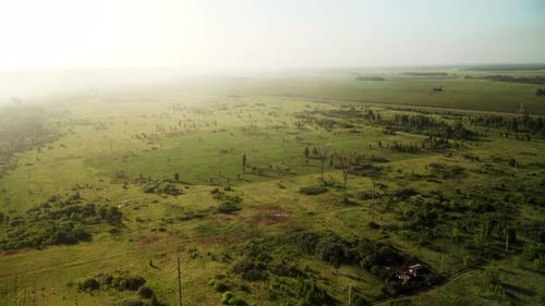 Green Fields and Trees Aerial Landscape