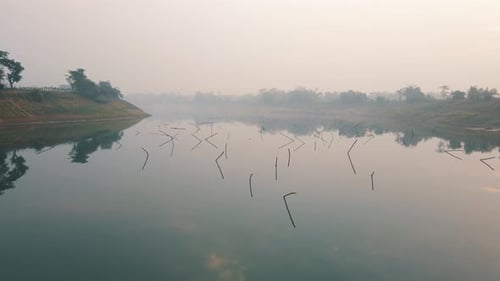 Mystic flight over calm flat river reflecting fog and cloudy sky, reeds sticking out of water