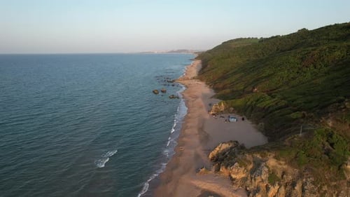 Tropical Beach and Forest