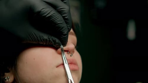Interior de un estudio de piercings: el maestro de piercings hace un piercing para una niña, piercing para el tabique nasal