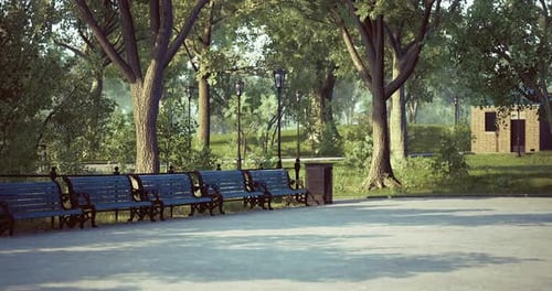 Tranquil Park Setting with Benches and Lush Greenery During Daylight
