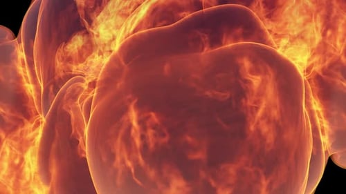 Fast Fire Transition