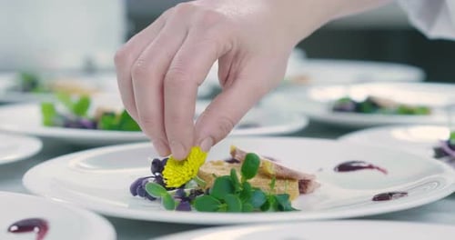 Chef Adds Floral Garnish to Exquisite Dish