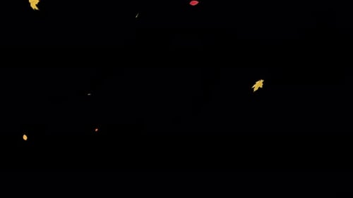 Falling Maple Leaves on Transparent Alpha 4K