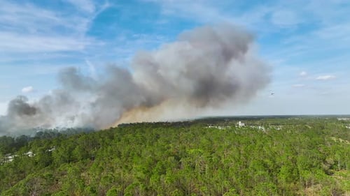Aerial View of Fire Department Helicopter Extinguishing Wildfire Burning Severely in Florida Jungle