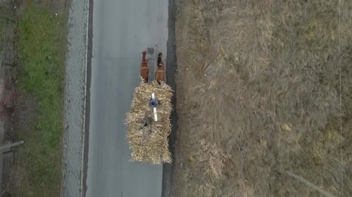 Aerial View of Pair of Horses Pulling Old Wooden Cart Full of Dry Hay with Peasant Men on It