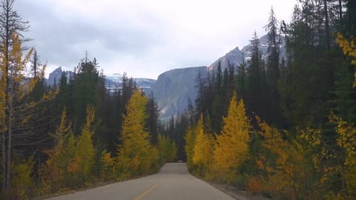 Driving on Road in Colorful Mountain Landscape in Autumn Season, Drivers POV of Road and Forest, Slo
