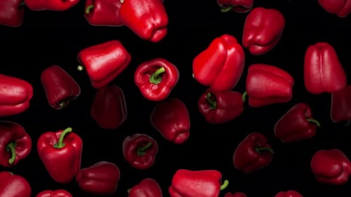 Red Bell Peppers Falling and Rotating on Black Background Loop