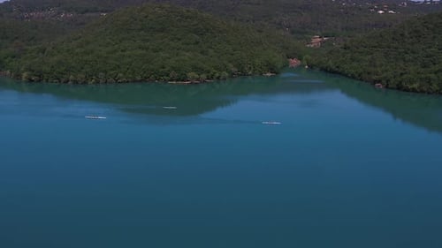 Descending aerial view towards group of rowing athletes cruising woodland lake waters. Tilt up to sk