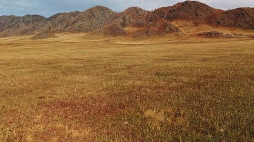 Wide Open Grassy Plain with Mountains in Background
