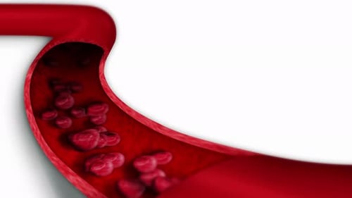 Red Blood Cells Flowing Through Artery Animation