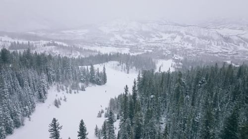 Ski Show Great Winter Panorama Aerial Fast Skiers in Beautiful Mountain Forest