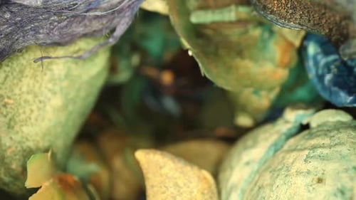 Movendo-se lentamente para um vaso de peças coloridas de potpourri; mostrando muitos detalhes e texturas finas. usando