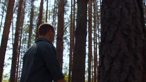 Rückansicht eines Wanderers, der im Sommerwald spaziert