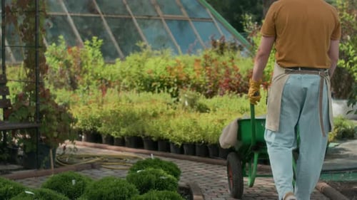 Young Male Gardener Pushing Cart at Plant Nursery in Summer