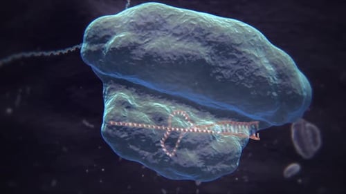 Cellule bactérienne avec flagelle en illustration médicale 3D