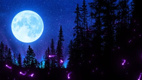Moon In The Forest With Fireflies Loop