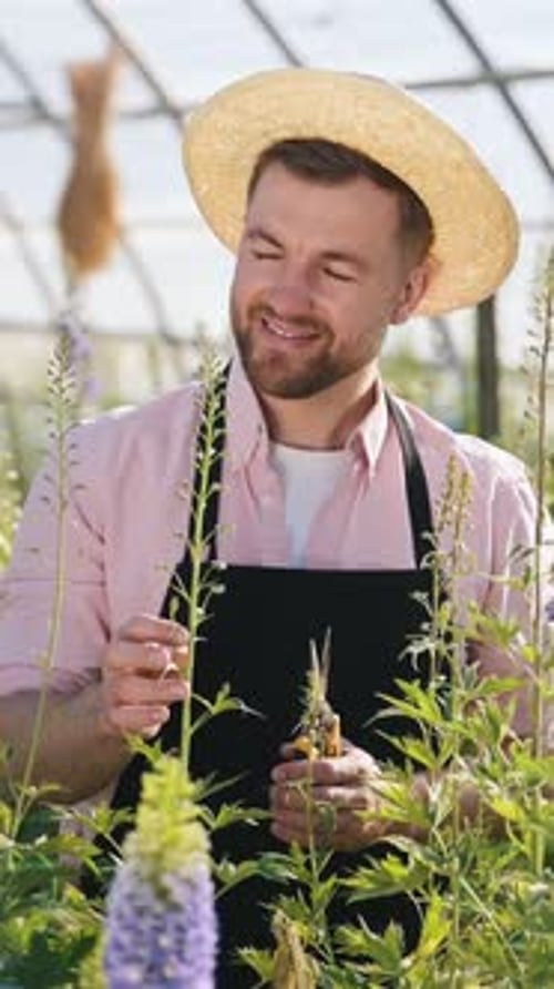 Smiling Man Trimming Flowering Plants in Greenhouse
