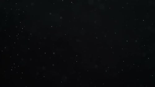 Snow on a Black Background