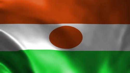 Animated Waving Flag of Niger Background
