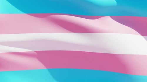 Drapeau transgenre flottant dans le vent, couleurs bleu, rose et blanc. Vidéo en boucle fluide
.