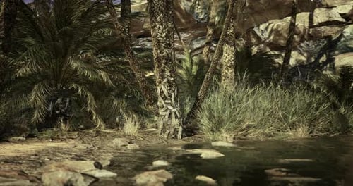 Animated Desert Oasis Landscape with Palm Trees