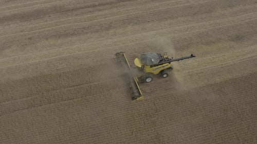 Soybean Harvest Farm Machinery Farm