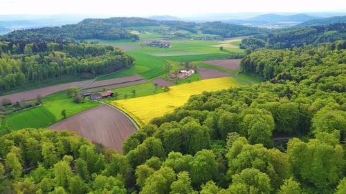 A Farm Stands on a Hill with Crop Fields White Bales of Hay and Pastures Surrounded By Forest