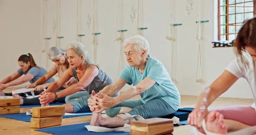 Women Practicing Seated Forward Bend Yoga