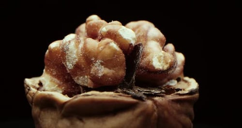 Shelled Walnut Rotating in Macro Shot on Black