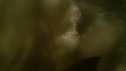 Contagion Collection: Microscopic crystals with quick motion