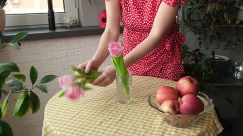 Woman Arranging Pink Tulips in Vase on Table