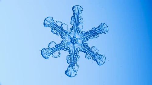 Snowflake under microscope