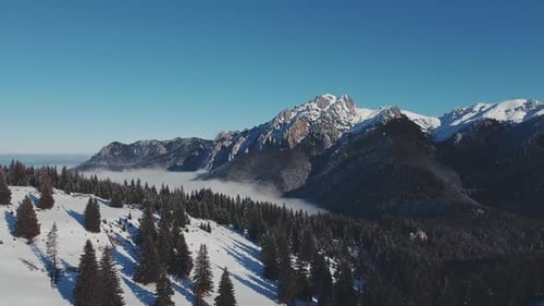 Drone footage of a winter landscape spreads across a mountain forest, with snow covering the trees a