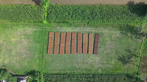 Aerial view of tobacco leaf drying racks in field, Indonesia.