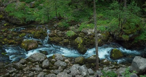Schnell fließender Gebirgsbach im Pinienwald. Malerische Landschaft. Ruhiger, entspannender und angenehmer Spaziergang