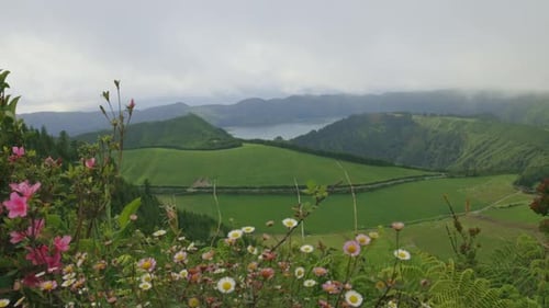 Üppiges grünes Tal, geschmückt mit Wolken, die anmutig über ihnen schweben