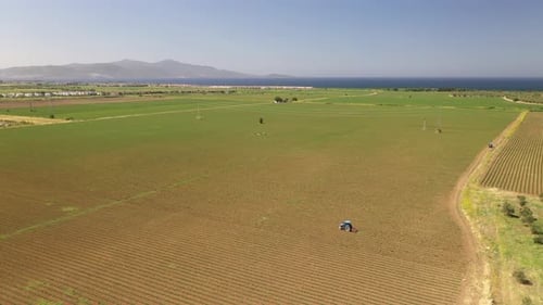 Agriculture field with tractor.