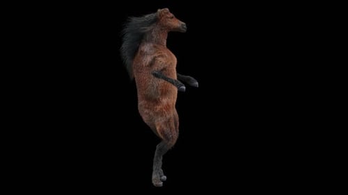 Realistic Brown Horse Rearing on Hind Legs